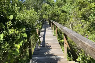 569 Radiant Cir, Mary Esther, FL 32569 - Photo 37