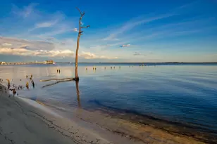 8905 Binnacle Ct, Navarre, FL 32566 - Photo 47