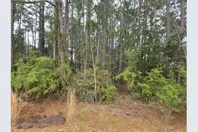 7238 Brinkley Street, Navarre, FL 32566 - Photo 5