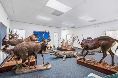 2824-2828 Harvest Road, Jay, FL 32565 - Photo 33