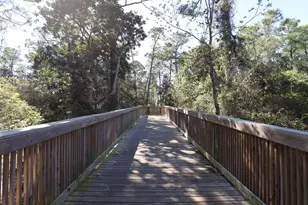 4279 Conradina Dr, Gulf Breeze, FL 32563 - Photo 43