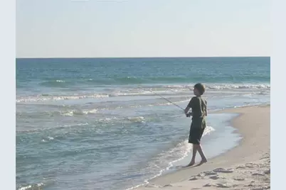 7482 Autumn Trace Boulevard, Navarre, FL 32566 - Photo 15