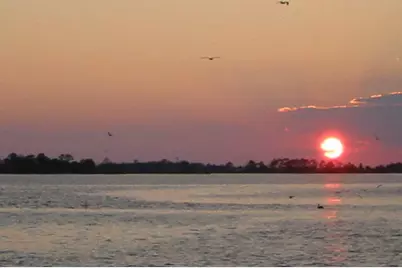 7482 Autumn Trace Boulevard, Navarre, FL 32566 - Photo 17