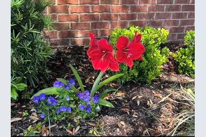 6528 Fairmont Street, Navarre, FL 32566 - Photo 5