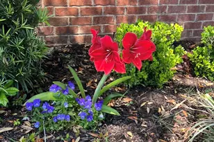 6528 Fairmont St, Navarre, FL 32566 - Photo 5