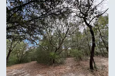6512 Winston Brown Road, Milton, FL 32570 - Photo 33