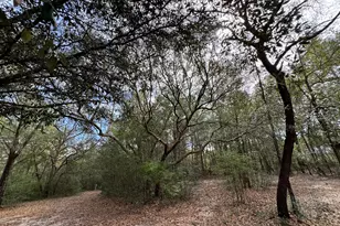 6512 Winston Brown Rd, Milton, FL 32570 - Photo 33