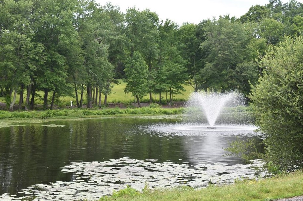 65 Round Tree Dr, Union City CT  06770-1855 exterior