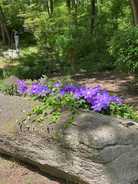 73 Frd Rd, New Haven CT 06525-1721 exterior