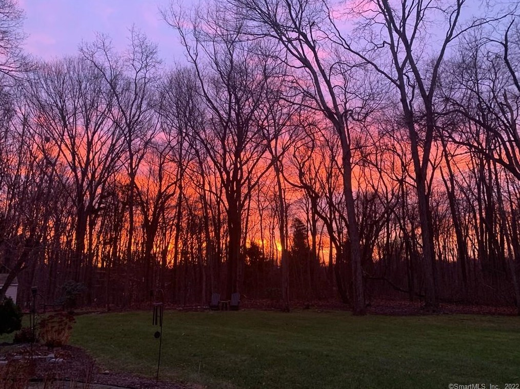 73 Frd Rd, New Haven CT 06525-1721 exterior