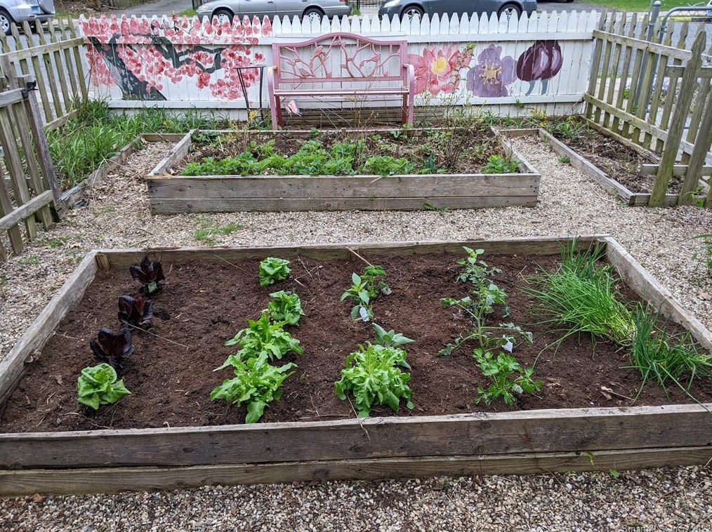 246 Collins St, Hartford CT 06105-1556 exterior