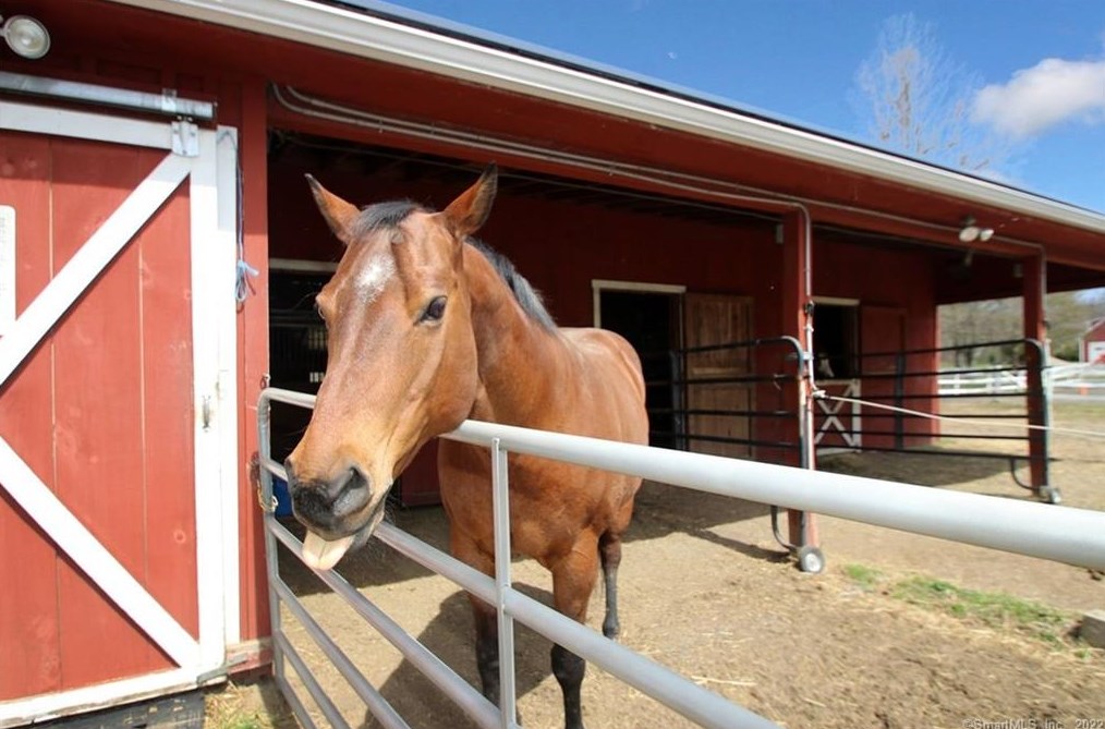 808 Br Rd, Suffield CT 06078-2321 exterior