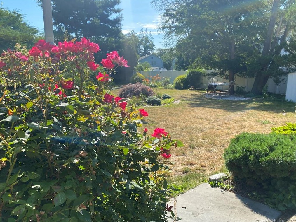 15 Beecher Pl, New Haven CT 06512-3904 exterior