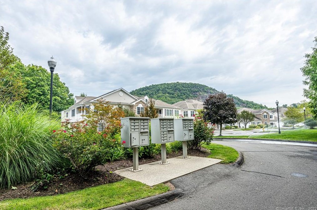 35 Todd St, New Haven CT  06518-1126 exterior