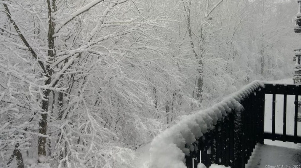 175 Mill Pond Rd, New Haven CT 06514-1726 exterior