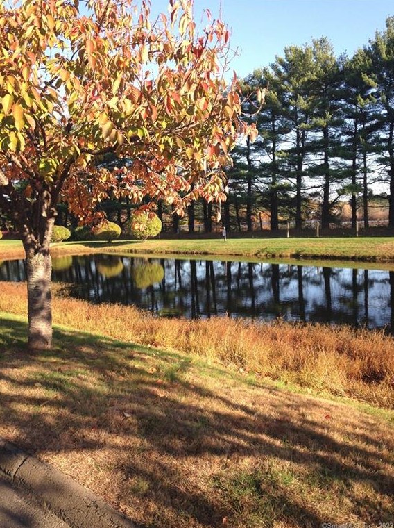 365 Mather St, New Haven CT 06514-3148 exterior