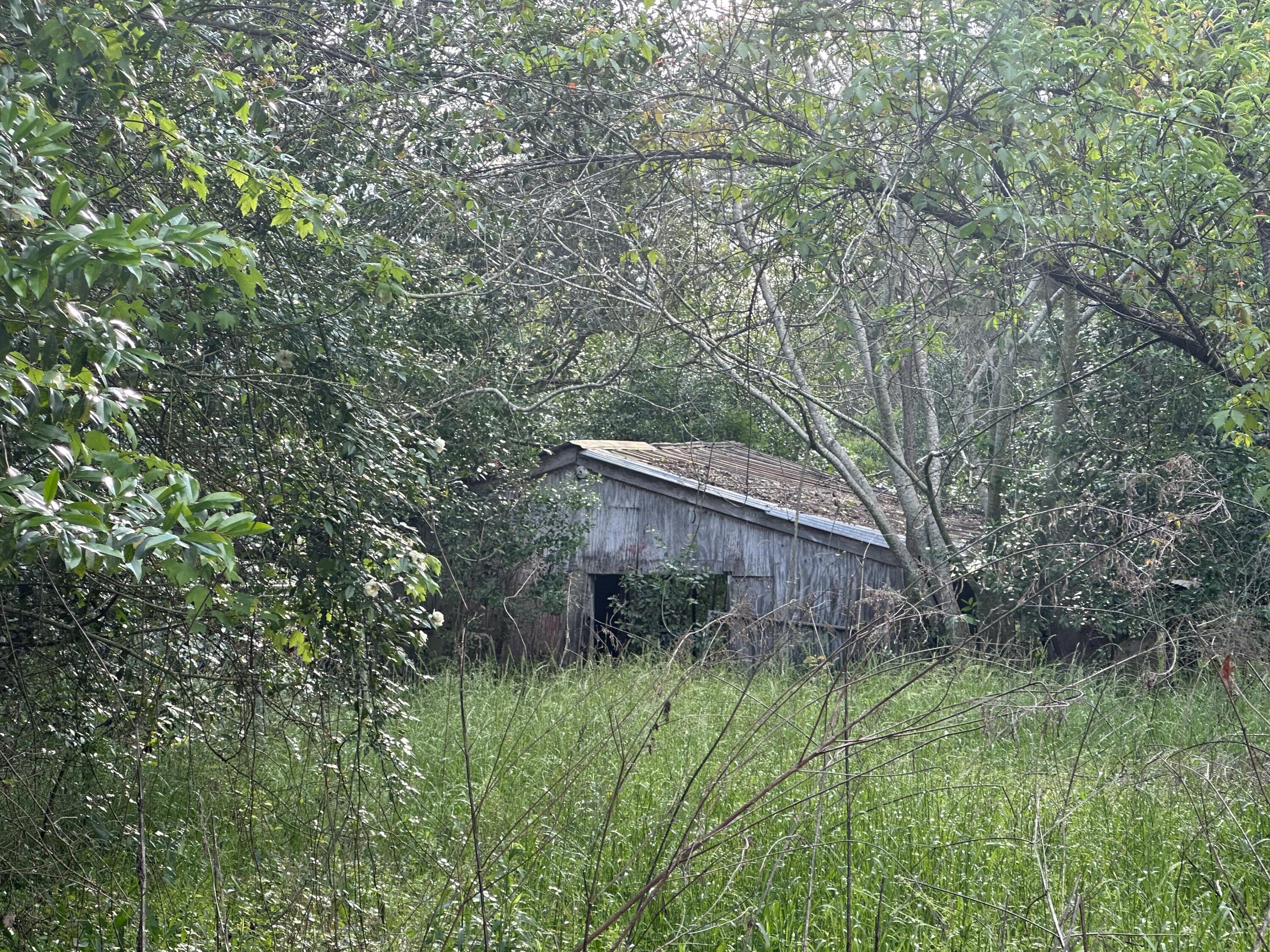 4+/ Ac Barnes Rd, Crestview, FL 32536 MLS 920016 Coldwell Banker