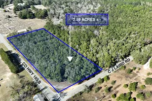 Lot 1 C J Laird Rd, Argyle, FL 32422 - Photo 1