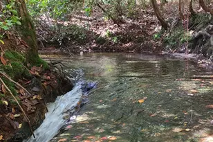 000 Ponderosa Ln, Crestview, FL 32539 - Photo 1