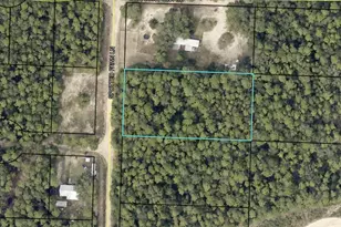 507C Spotted Fawn Ln, Holt, FL 32564 - Photo 1