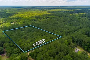 Tbd Agnes Trail, Defuniak Springs, FL 32435 - Photo 1