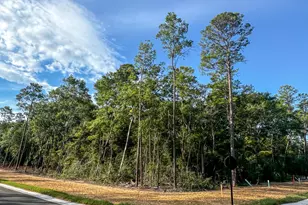 416 Sorrel Wy, Niceville, FL 32578 - Photo 1