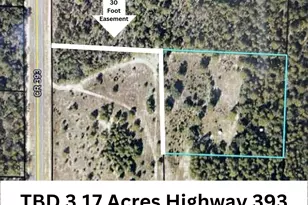 Tbd 3 17 Ac Hwy 393 Hwy, Crestview, FL 32539 - Photo 1