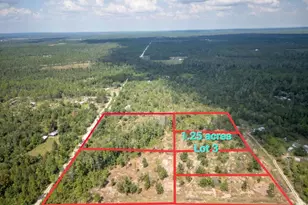 1494 Lake Lillian Rd, Fountain, FL 32438 - Photo 1