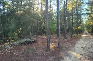 Lot 20 Blk 33 W Black Cherry Dr, Defuniak Springs, FL 32433 - Photo 1