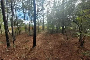 Lot 4 Blk 6 E Violet Ln, Defuniak Springs, FL 32433 - Photo 1