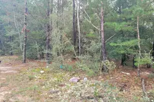 Lot 5 Blk 6 E Violet Ln, Defuniak Springs, FL 32433 - Photo 1