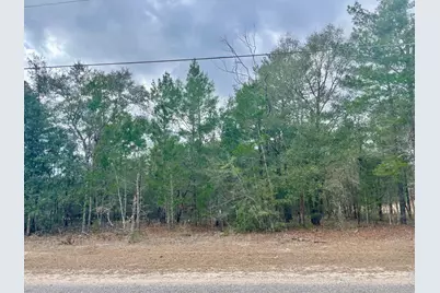 Lot 40 Beethoven Circle, Defuniak Springs, FL 32433 - Photo 1