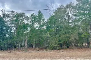 Lot 40 Beethoven Circle, Defuniak Springs, FL 32433 - Photo 1