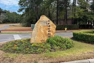 Lot 41 Barefoot Cove, Freeport, FL 32439 - Photo 1