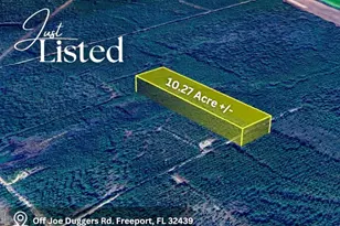 0 Joe Dugger Rd, Freeport, FL 32439 - Photo 1