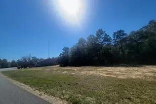 9 79 Acres Co Hwy 1087, Defuniak Springs, FL 32433 - Photo 1