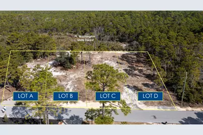 Tbd Parcel B Lee Place Place, Santa Rosa Beach, FL 32459 - Photo 1