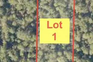Lot 1 John Nix Rd, Crestview, FL 32539 - Photo 1