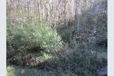 Lot 12 Churchill Bayou Road, Santa Rosa Beach, FL 32459 - Photo 1