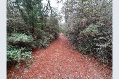 00 Pennington Road, Crestview, FL 32539 - Photo 1