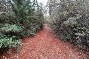 00 Pennington Rd, Crestview, FL 32539 - Photo 1