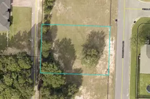 249 Paradise Palm Cir, Crestview, FL 32536 - Photo 1