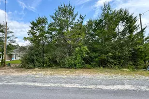 Lot 24 E Tiger Lily Ln E, Defuniak Springs, FL 32433 - Photo 1