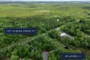Lot 14 Bear Creek Ct, Freeport, FL 32439 - Photo 1