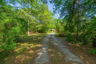 6161 Hwy 393, Crestview, FL 32539 - Photo 1
