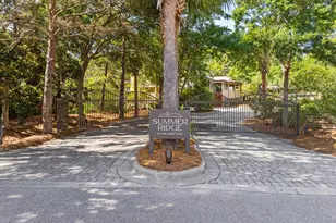 41 Summit Dr, Santa Rosa Beach, FL 32459 - Photo 1