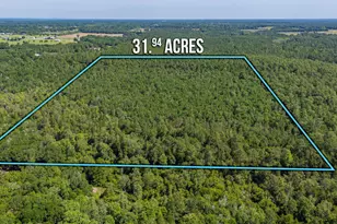 31 Acres Canyon Trail, Baker, FL 32531 - Photo 1