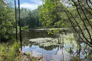 20 Acres Canyon Trail, Baker, FL 32531 - Photo 1