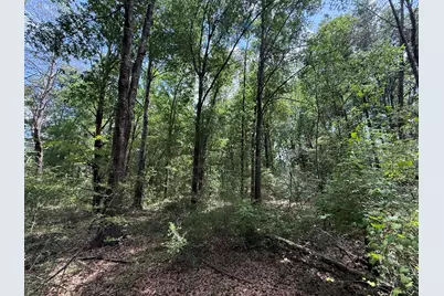 Tbd Us-90, Harold, FL 32563 - Photo 1