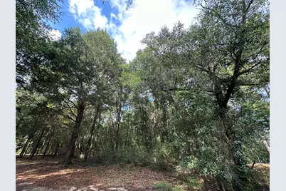 Parcel B Oakcrest Drive, Crestview, FL 32539 - Photo 1